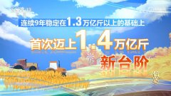 核心决心2024！本年粮食产量初次跨越14万