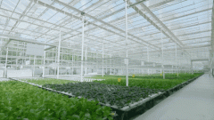 2025年地方一号文件即将发布！文件内容抢