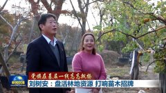 <b>【党旗正在下层一线高高飘荡】刘树安：</b>