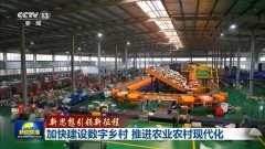 新思惟引领新征程丨加速扶植数字村落