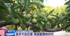 从连片贫瘠到江山锦绣 这些处所依托财产